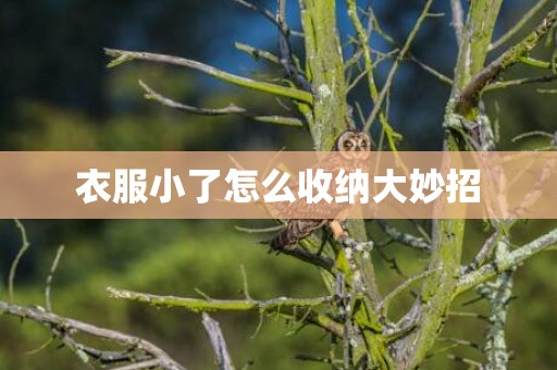 衣服小了怎么收纳大妙招