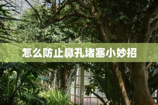 怎么防止鼻孔堵塞小妙招