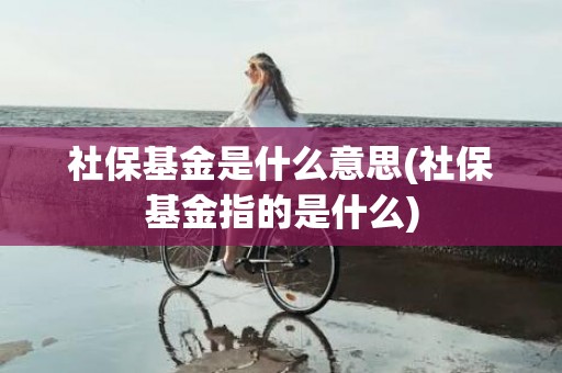 社保基金是什么意思(社保基金指的是什么)