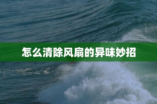 怎么清除风扇的异味妙招