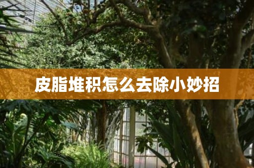 皮脂堆积怎么去除小妙招