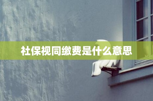 社保视同缴费是什么意思