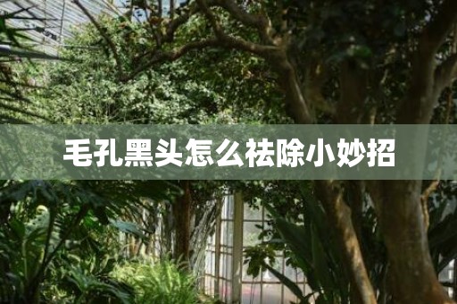毛孔黑头怎么祛除小妙招