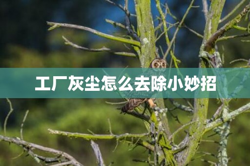 工厂灰尘怎么去除小妙招