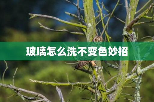 玻璃怎么洗不变色妙招