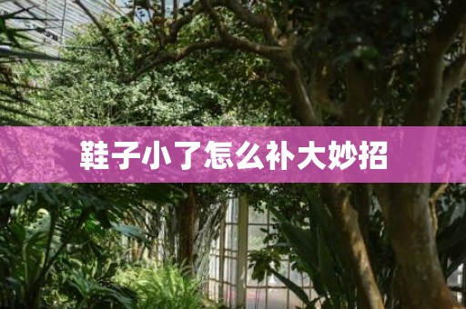 鞋子小了怎么补大妙招
