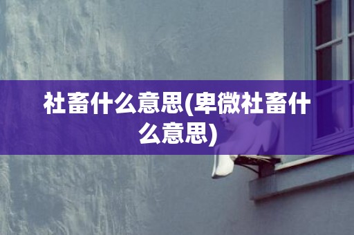 社畜什么意思(卑微社畜什么意思)