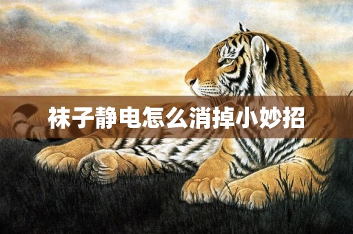 袜子静电怎么消掉小妙招