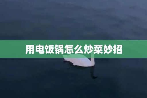 用电饭锅怎么炒菜妙招
