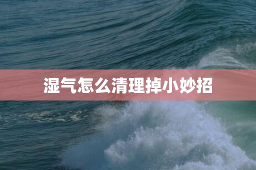 湿气怎么清理掉小妙招