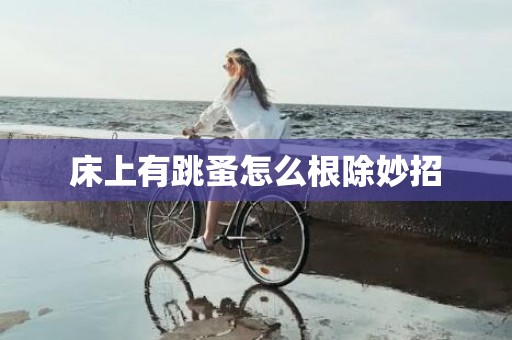 床上有跳蚤怎么根除妙招
