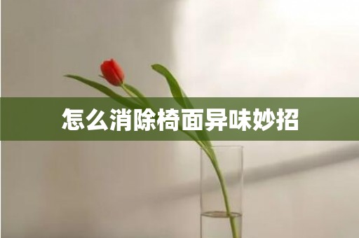 怎么消除椅面异味妙招
