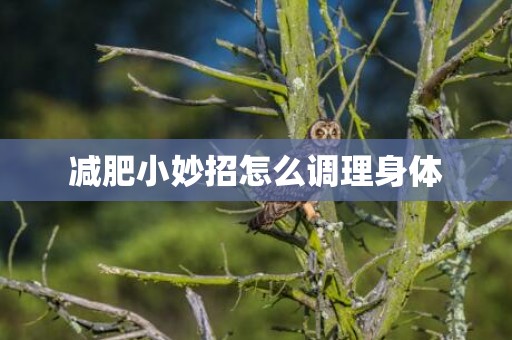 减肥小妙招怎么调理身体