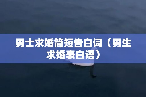 男士求婚简短告白词（男生求婚表白语）