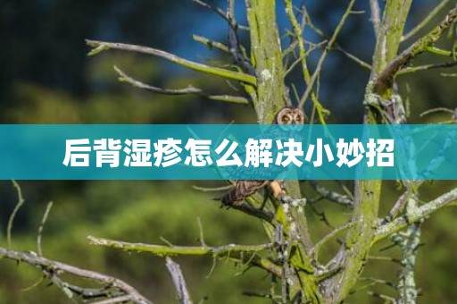 后背湿疹怎么解决小妙招