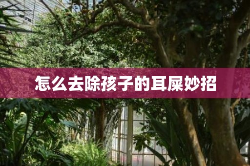怎么去除孩子的耳屎妙招