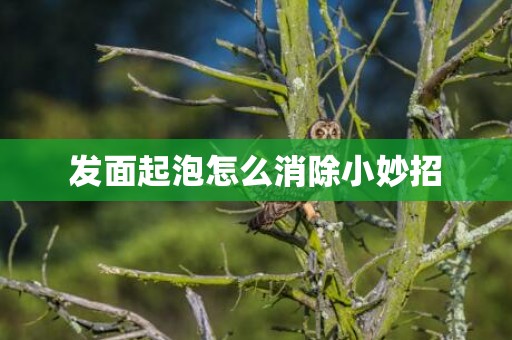 发面起泡怎么消除小妙招