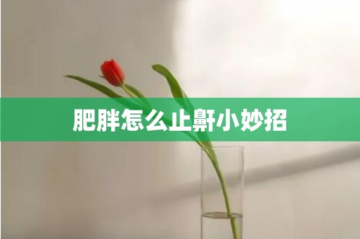 肥胖怎么止鼾小妙招