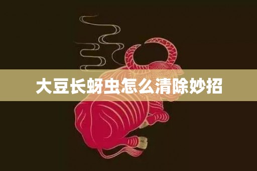 大豆长蚜虫怎么清除妙招