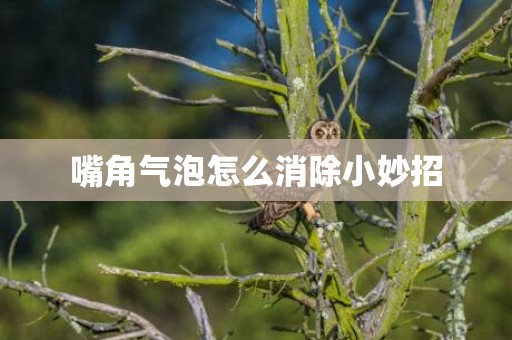 嘴角气泡怎么消除小妙招