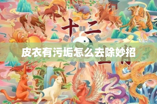 皮衣有污垢怎么去除妙招