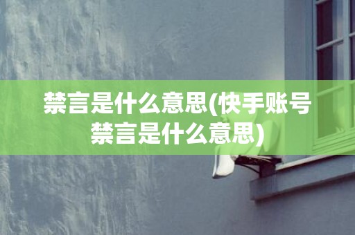 禁言是什么意思(快手账号禁言是什么意思)