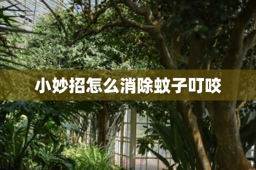 小妙招怎么消除蚊子叮咬