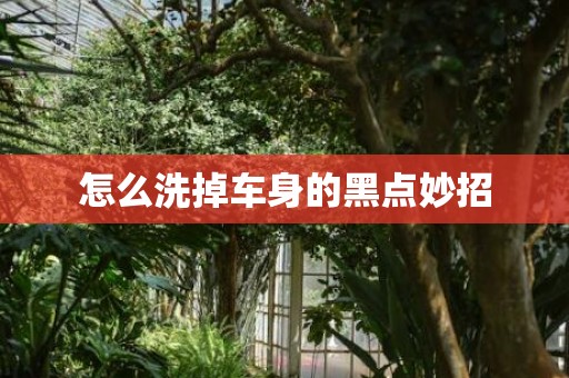 怎么洗掉车身的黑点妙招