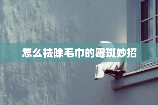 怎么祛除毛巾的霉斑妙招