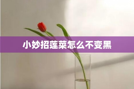 小妙招莲菜怎么不变黑