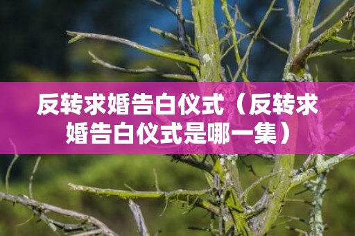 反转求婚告白仪式（反转求婚告白仪式是哪一集）