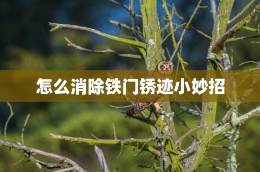 怎么消除铁门锈迹小妙招