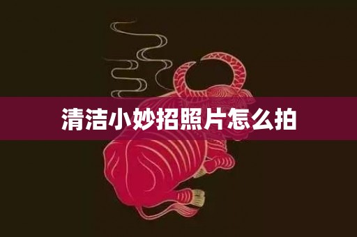 清洁小妙招照片怎么拍