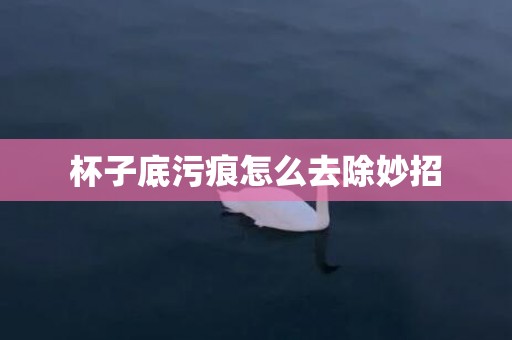 杯子底污痕怎么去除妙招