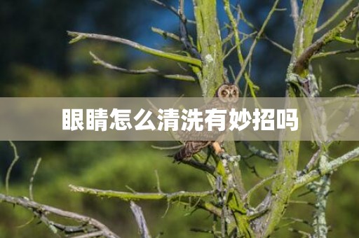 眼睛怎么清洗有妙招吗