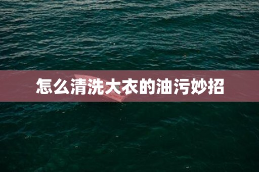 怎么清洗大衣的油污妙招