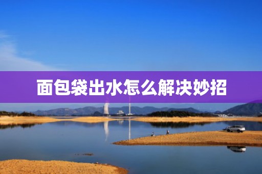 面包袋出水怎么解决妙招