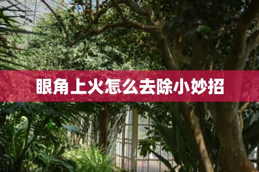 眼角上火怎么去除小妙招