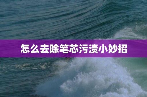 怎么去除笔芯污渍小妙招