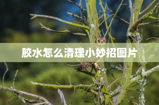 胶水怎么清理小妙招图片