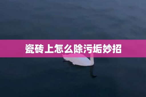 瓷砖上怎么除污垢妙招