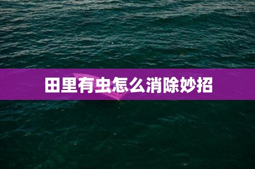 田里有虫怎么消除妙招
