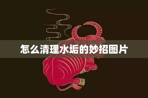 怎么清理水垢的妙招图片