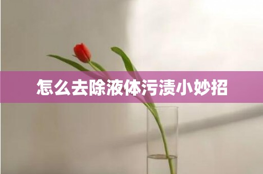怎么去除液体污渍小妙招