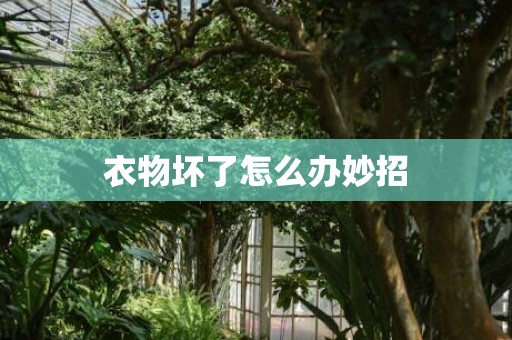 衣物坏了怎么办妙招
