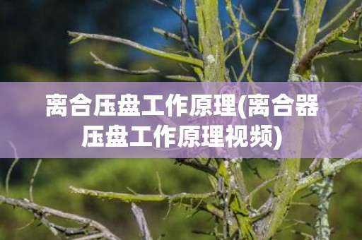 离合压盘工作原理(离合器压盘工作原理视频)