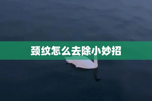 颈纹怎么去除小妙招