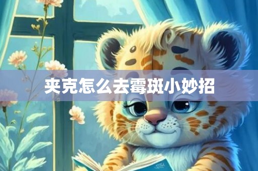 夹克怎么去霉斑小妙招