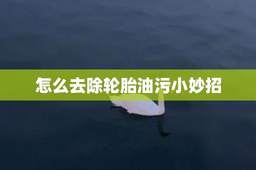 怎么去除轮胎油污小妙招
