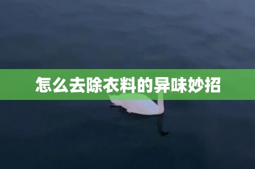 怎么去除衣料的异味妙招